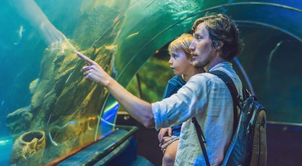 Aquarium Donostia à San Sebastian