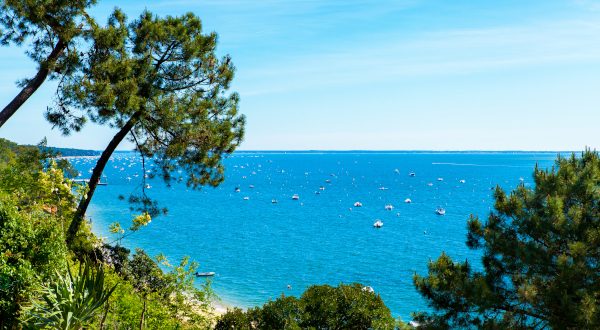 Cap Ferret