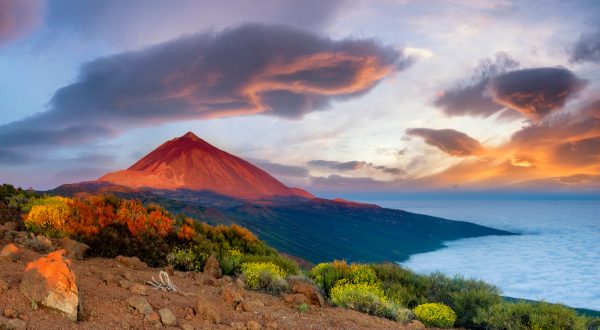 Ile de Tenerife, les Canaries