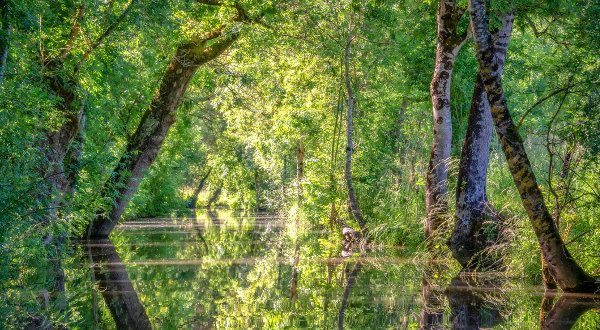 Marais-Poitevin-iStock