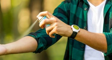 10 astuces pour éviter et soulager les piqûres de puces