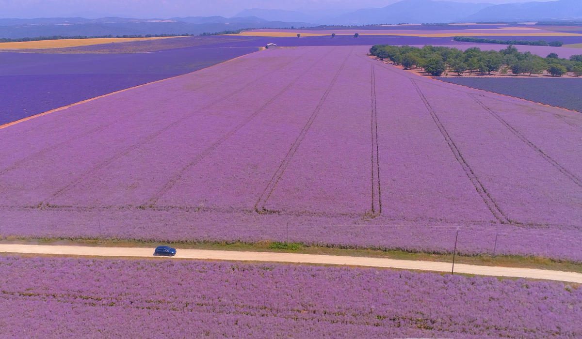 Road trip en provence
