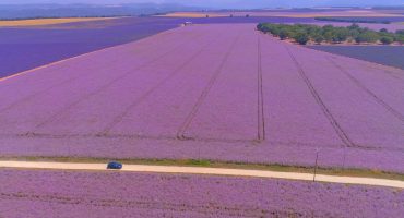 Road trip en Provence