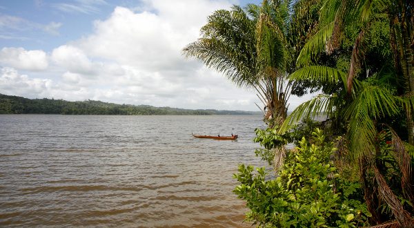 Maroni_Guinea Shutterstock
