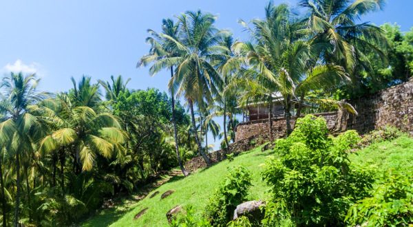 Salut island_Guinea Shutterstock