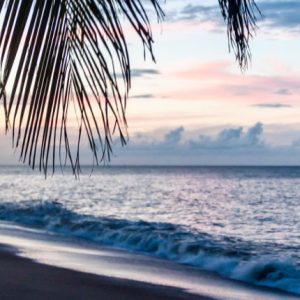 beach_Guinea Shutterstock