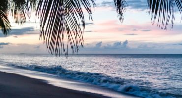 Top 5 des incontournables à faire en Guyane