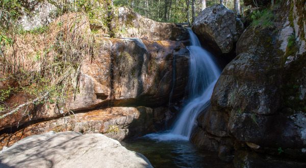 forêt d'Aitoine en Corse iStock