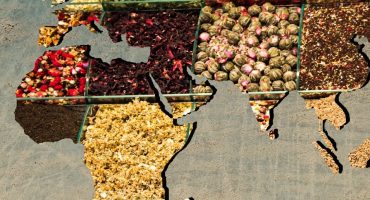 Meilleurs plats du monde