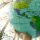 Voyage responsable iStock