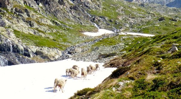 a voir en Isère