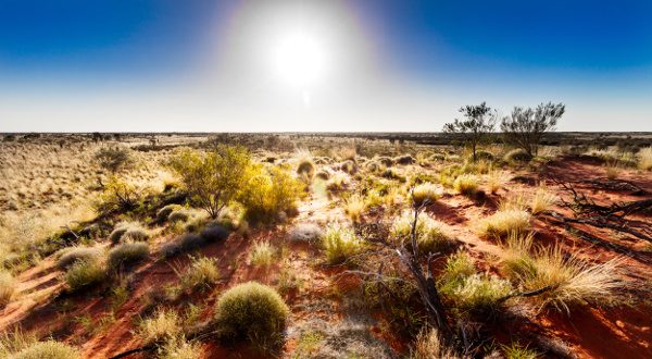 Australian outback in hot sunshine