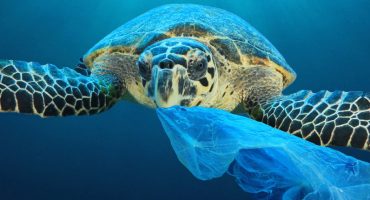 10 façons de protéger les océans à votre échelle en voyage