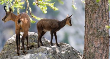 Les 10 plus belles randonnées à faire dans le Mercantour