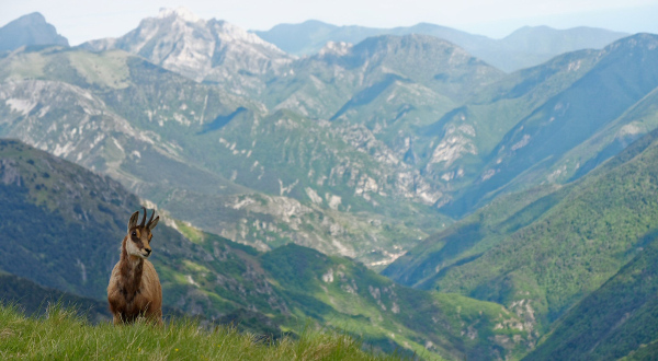 Parc national du Mercantour iStock