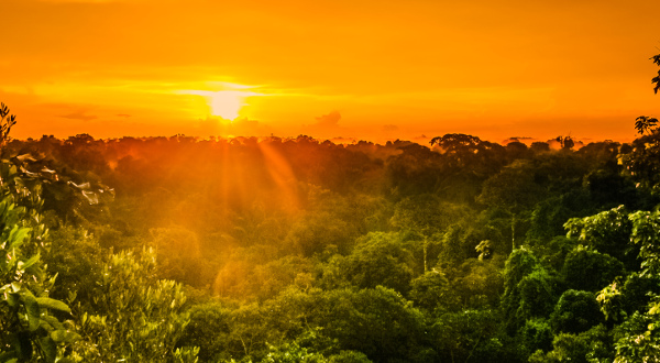 View on sunset over the trees of the rain forest in Brazil