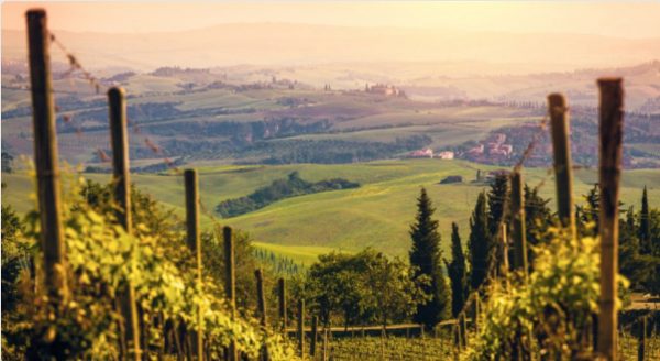 Route des vins Chianti Italie
