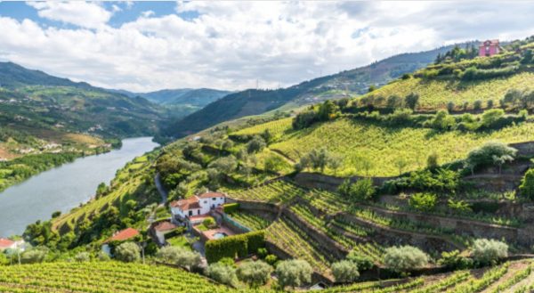 Route des Vins Douro Portugal