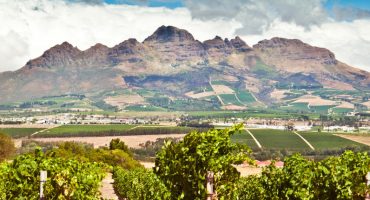 Les plus belles routes des vins du monde