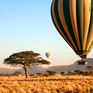 montgolfiere serengeti tanzanie 1200