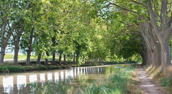 le canal du midi à vélo 