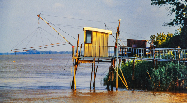 Pauillac