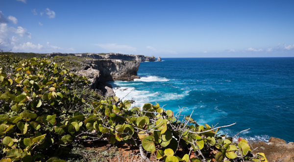Récif Porte d'Enfer Guadeloupe