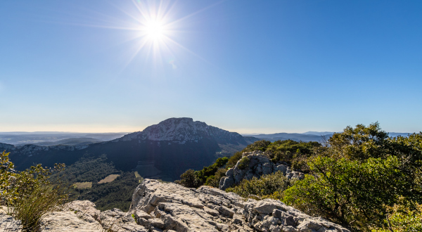 Pic Saint-Loup Occitanie