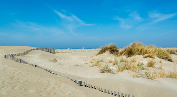 Plage de l'Espiguette