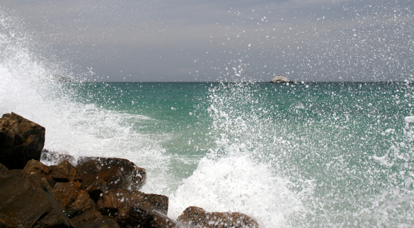 plage El Aqua au Venezuela