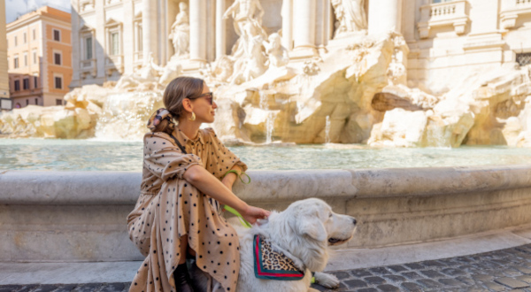 Chien Rome Italie