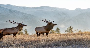 Nos 10 incontournables à voir en Alberta avec Refuse to Hibernate