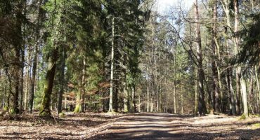 Top 8 des meilleures activités à faire à Saint-Avold
