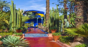 Quand partir à Marrakech ?