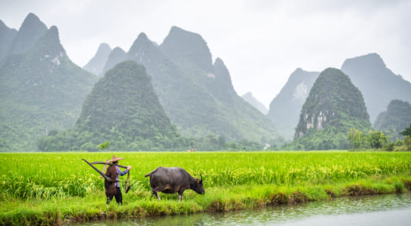Paysages karstiques de Yangshuo en Chine