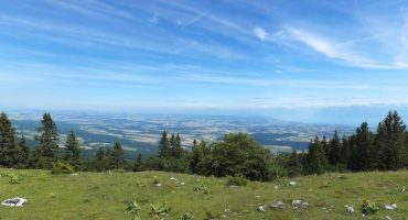 Les spots incontournables à découvrir à Môle et Brasses